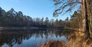 Chasse petit gibier Sologne